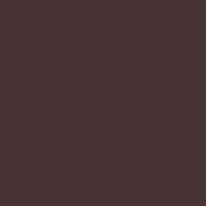 Tru-Color Paint 831 All Scale Flat Brushable Color Acrylic Paints - 1oz  29.6mL -- Window Trim (Deep) Brown