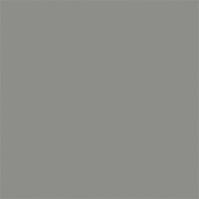 Tru-Color Paint 855 All Scale Flat Brushable Color Acrylic Paints - 1oz  29.6mL -- Weathered Gray Wood