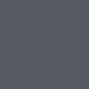 Tru-Color Paint 97 All Scale Railroad Color Acrylic Paints - 1oz  29.6mL -- Montana Rail Link Gray