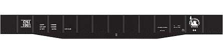 Tichy Trains 10109N N Scale Railroad Decal Set -- Central Railroad of New Jersey 53' Steel Gondola