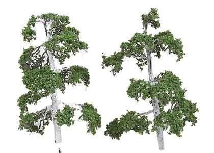 The N Scale Architect 60010 N Scale ForeGround(TM) Tree pkg(6) -- Silver Birch