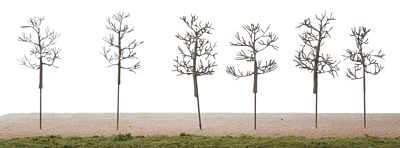 The N Scale Architect 60015 N Scale Maple Sugar Bush Tree Set w/Details - Kit